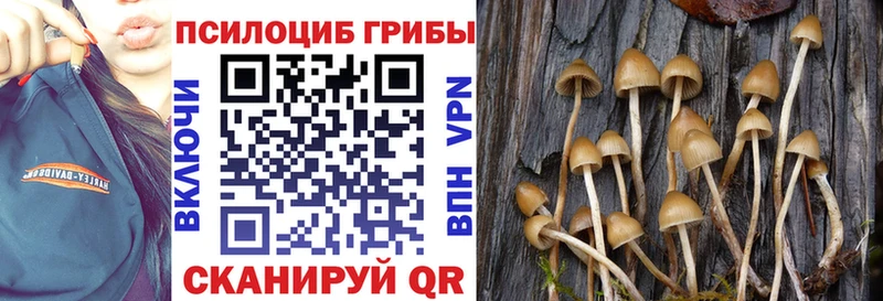 Псилоцибиновые грибы мухоморы  Грозный 