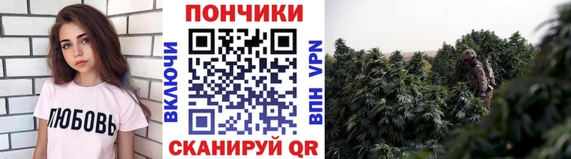 дарнет шоп Грозный kraken Шишки марихуана AK-47